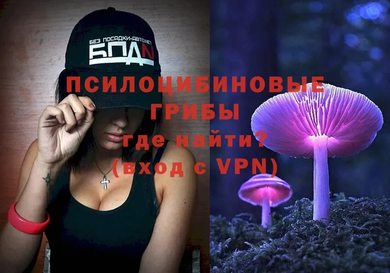 сколько стоит  Лабинск  Галлюциногенные грибы MAGIC MUSHROOMS 